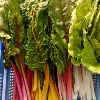 Img 20250603 185447 731